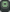 Icon adp.png
